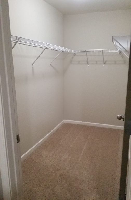 Gorgeous Rooms Available Now!!!