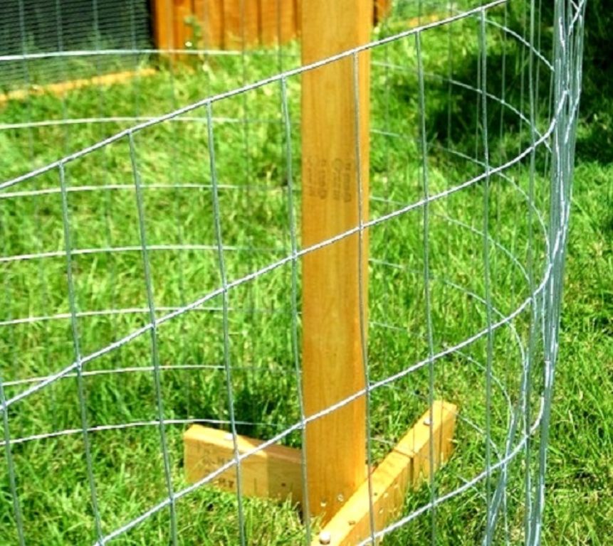 CHRISTMAS SPECIAL- Portable Chicken Yard (Garden) Fence Posts For Free Range Chicken Coop