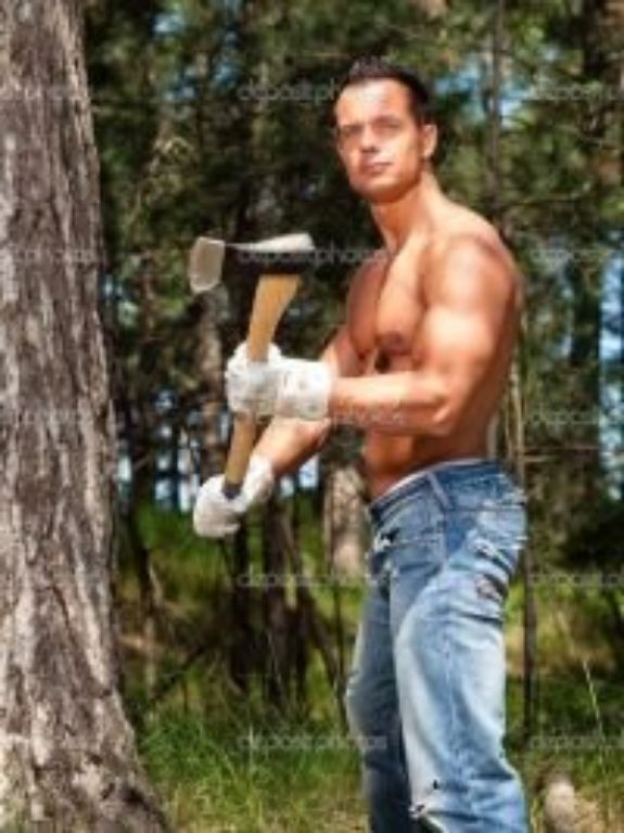 TREE SERVICE - TREE REMOVAL - TREE PRUNING - Visit website MYTREEMAN.COM