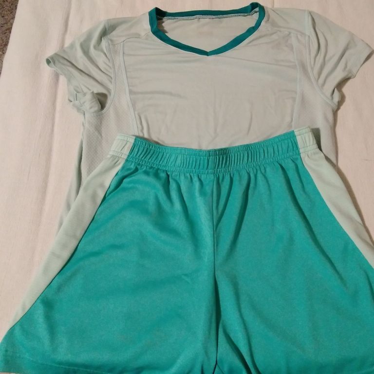 New, Never Worn. 2 Pair Women's Danskin Now Activewear 2 Tone Shorts/2 Blouses