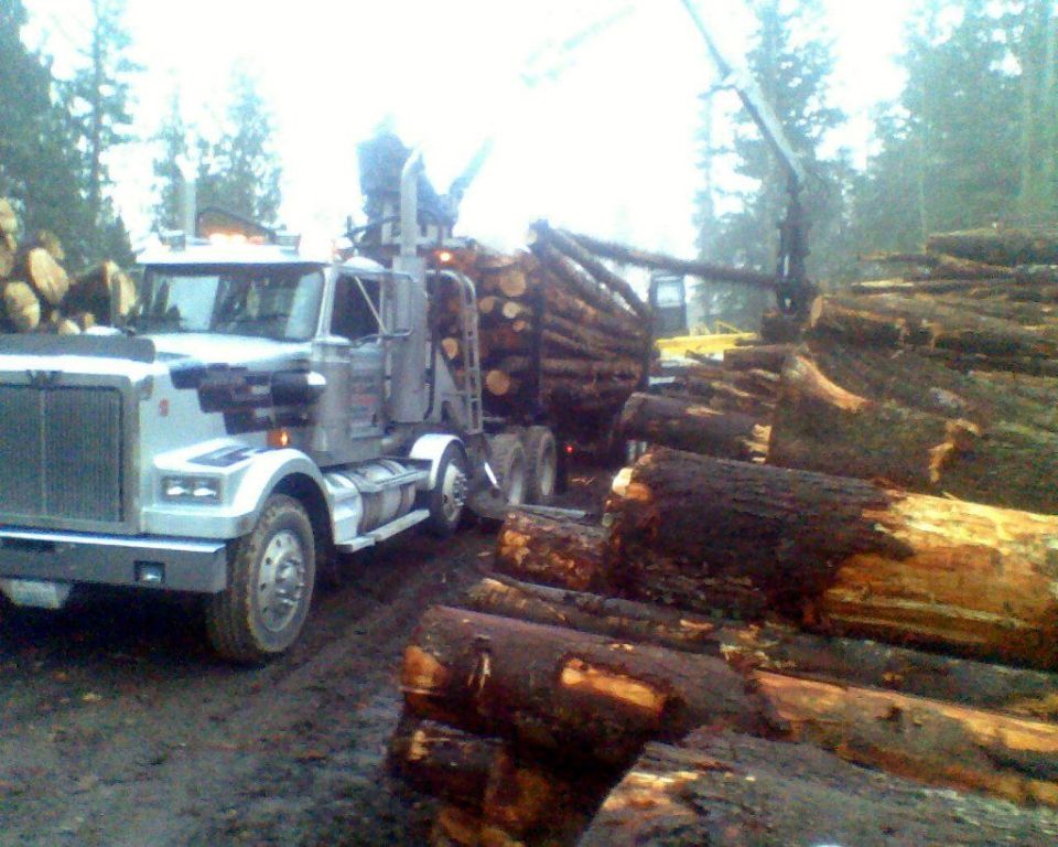 FIREWOOD LOGS For Sale, LOG TRUCK or DUMP TRUCK LOADS🌲LOGGING Washington Selling WOOD