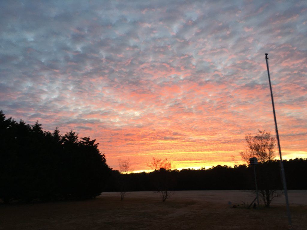 14.9 Acres With Mobile Home Near Parksley VA - SOLD!