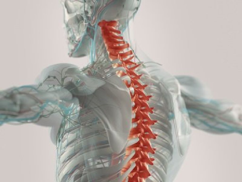 Consult Doctor for Degenerative Disc Disease Treatment in Plano TX