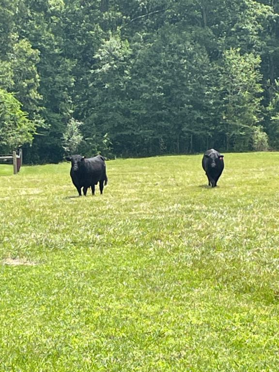 Home for sale in Allardt TN