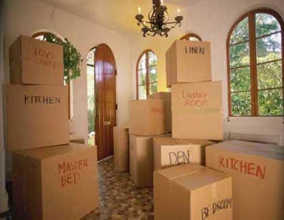 ALEX MOVING & DELIVERY INC. 305-302-9054 Movers