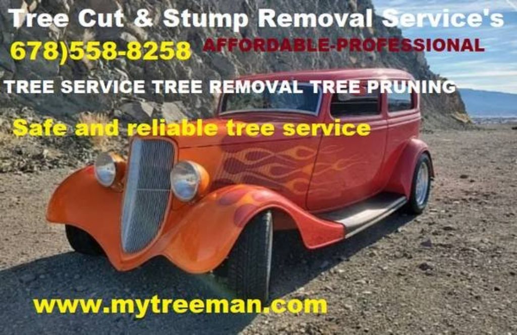TREE SERVICE 🧡 TRIMMING 💋 TREE REMOVAL Service 🌝 (Over 96 / 5 star google (✅FREE ESTIMATES METRO