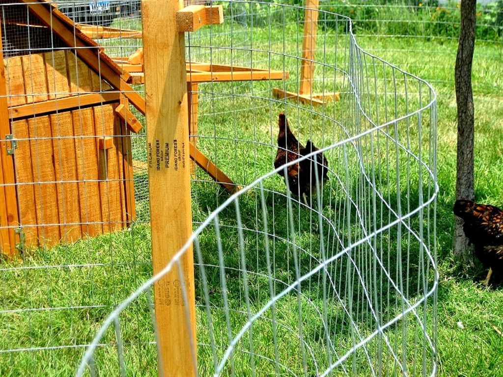 CHRISTMAS SPECIAL- Portable Chicken Yard (Garden) Fence Posts For Free Range Chicken Coop