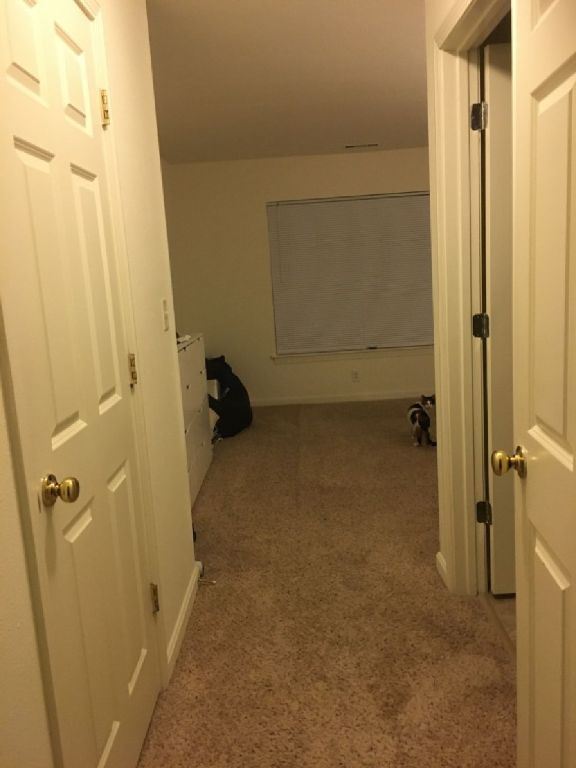 Bedroom and Private Bath in Luxury Apartment Complex