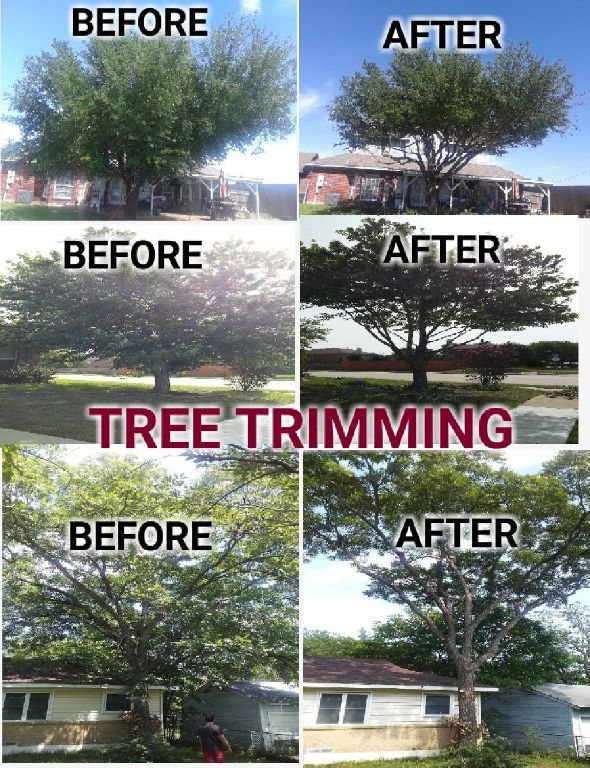 HAYVEN'S TREE SERVICE