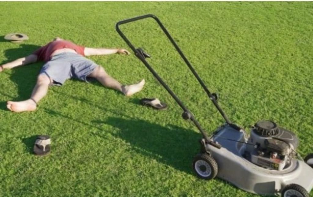 Mowing, 🔥 Firewood 🔥