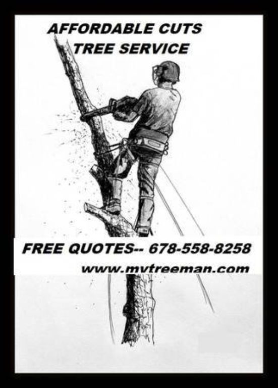 TREE SERVICE 🧡 TRIMMING 💋 TREE REMOVAL Service 🌝 (Over 96 / 5 star google (✅FREE ESTIMATES METRO