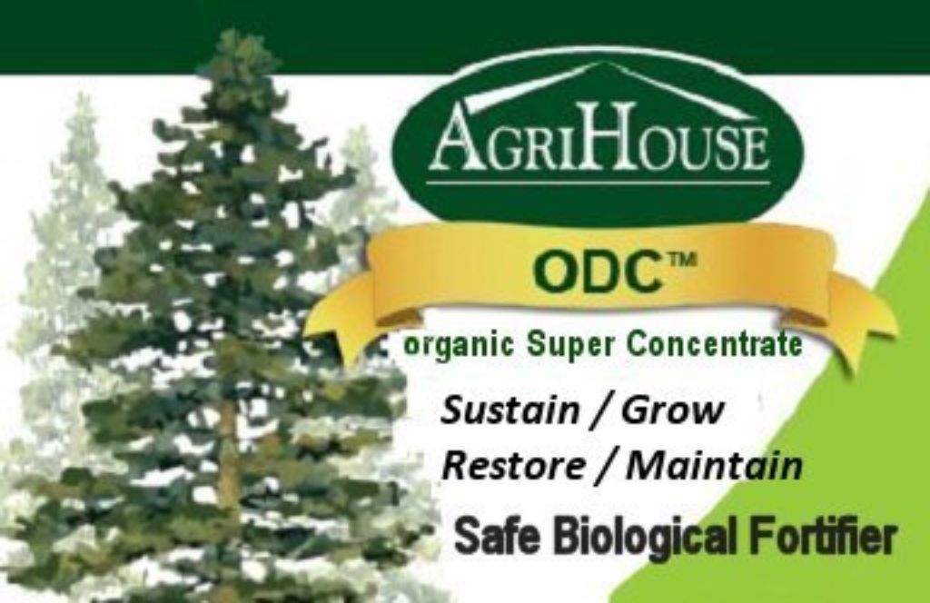 ODC organic Super Concentrate 1.2 fl. oz. - SAVE TREES & GRASSES