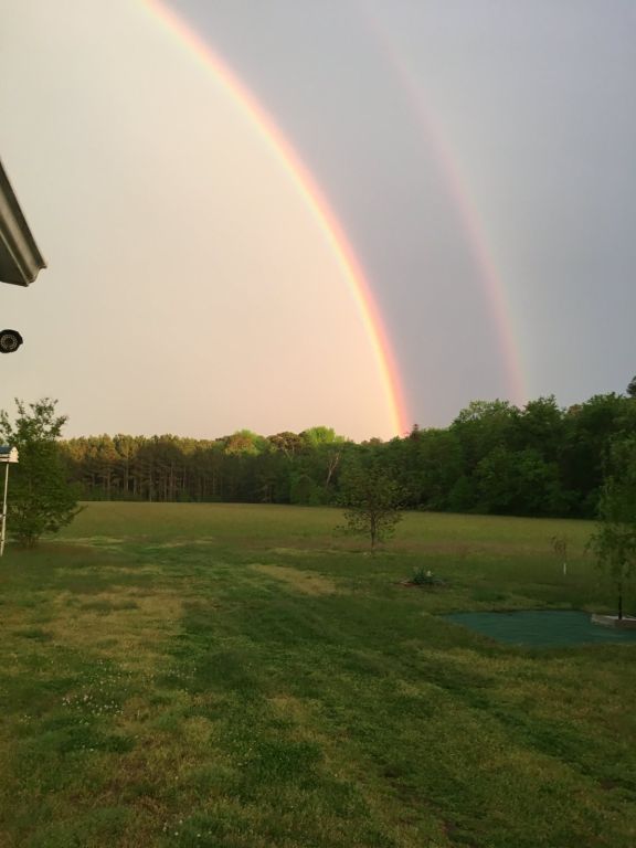 14.9 Acres With Mobile Home Near Parksley VA - SOLD!