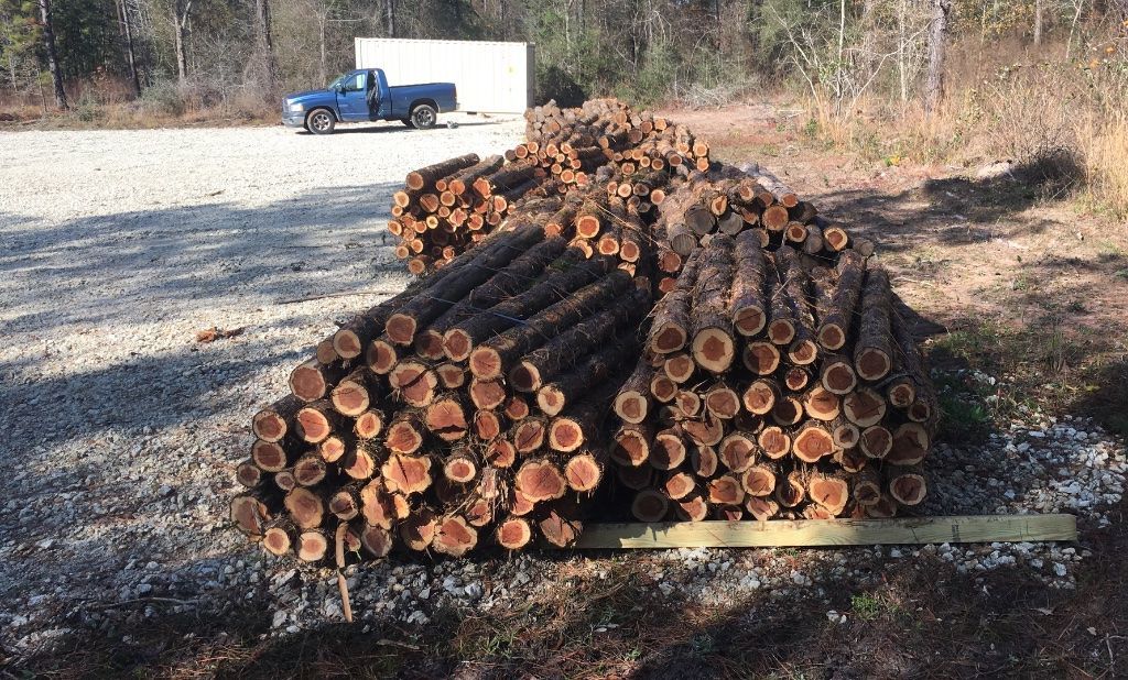 Best Quality Missouri Cedar Fence Posts/Poles/Logs for sale