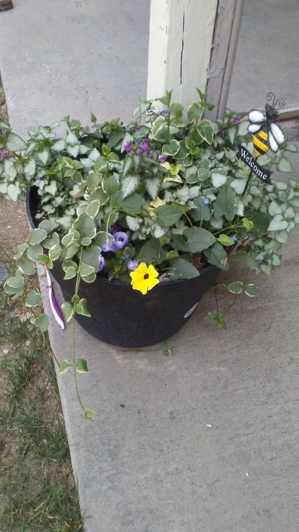 Flowers, planters, vegis, yard decor