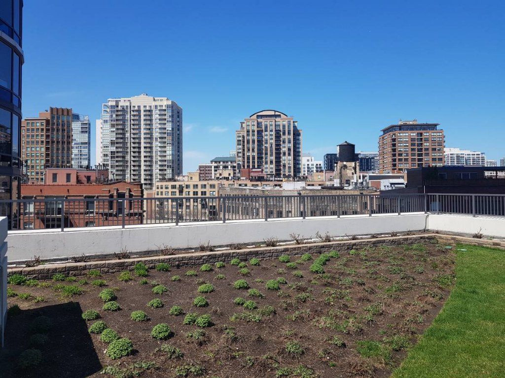 River North FURNISHED 1BR 1BA on 30th floor - floor to ceiling windows