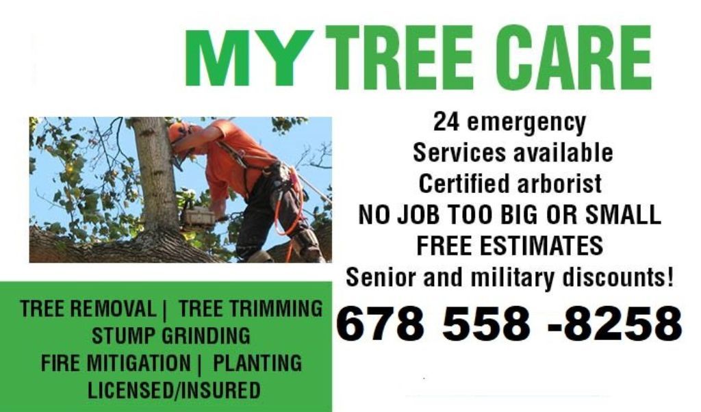 TREE SERVICE -TRIMMING -TREE REMOVAL TREE SERVICE  TRIMMING   TREE REMOVAL Service