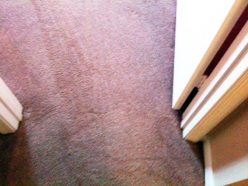 Professional - Carpet Repair/Stretch in Weston - Must see pics