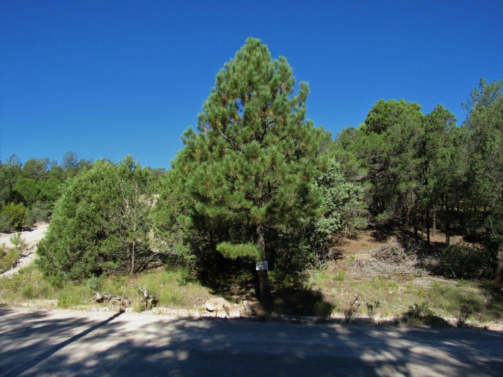 201 Cresta Loma Dr. Timberon, nm