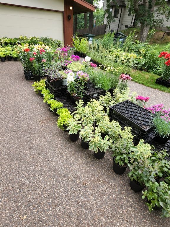 Perennial Plant Sale - 2023