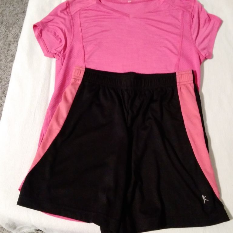 New, Never Worn. 2 Pair Women's Danskin Now Activewear 2 Tone Shorts/2 Blouses