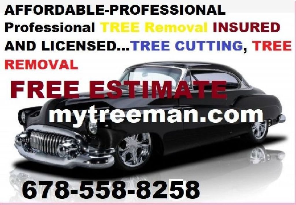 TREE SERVICE -TRIMMING -TREE REMOVAL TREE SERVICE  TRIMMING   TREE REMOVAL Service