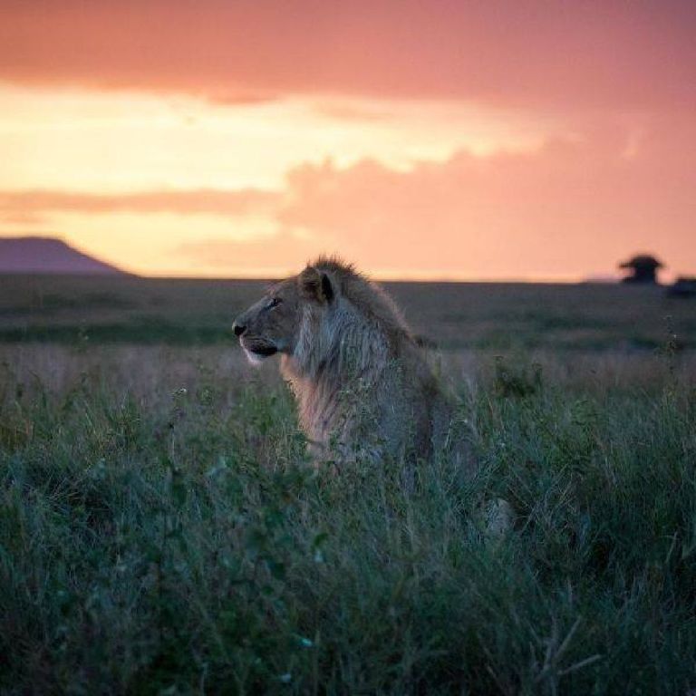 Africa Flash McTours and Travel