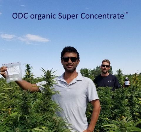ODC organic Super Concentrate 1.2 fl. oz. - SAVE TREES & GRASSES