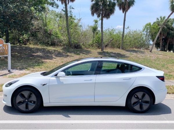 2019 Tesla Model 3 ~~ Tampa Bay Wholesale cars Inc ~~ 727-388-1516 ~~