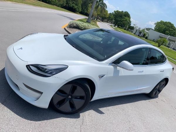 2019 Tesla Model 3 ~~ Tampa Bay Wholesale cars Inc ~~ 727-388-1516 ~~