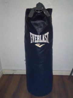 craigslist punching bag