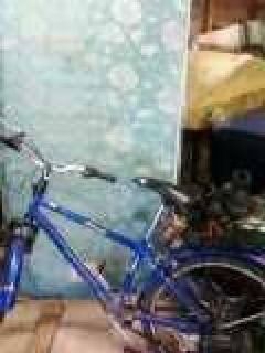 craigslist motorized bicycle