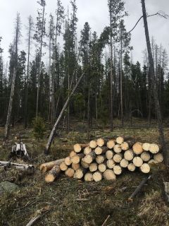 Firewood For Sale Classifieds Near Rigby Idaho Claz Org