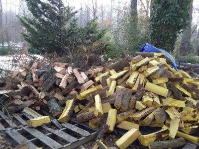 Firewood Elkton Classifieds Claz Org