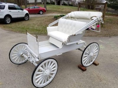 miniature horse buggy for sale