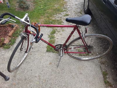 1983 schwinn world sport