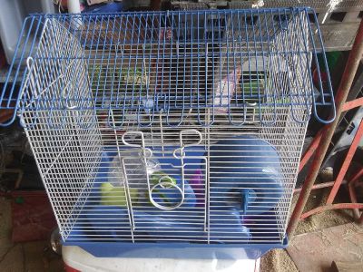 craigslist rat cage