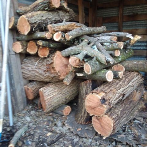 mesquite firewood claz
