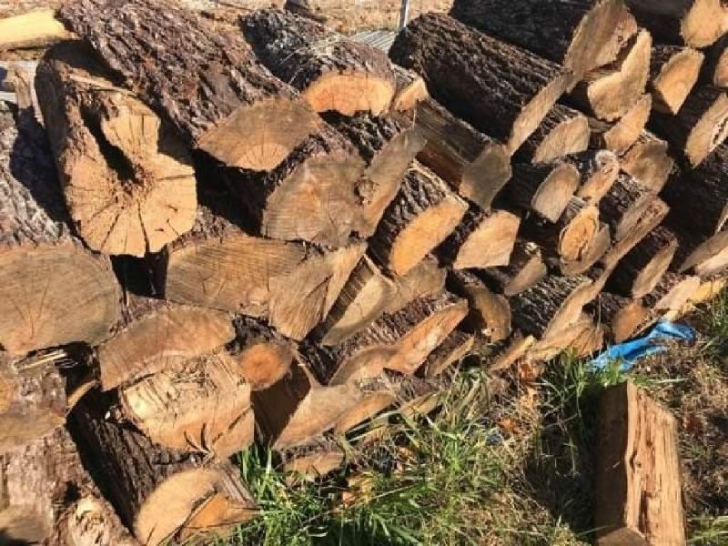 Seasoned Oak Firewood 4970