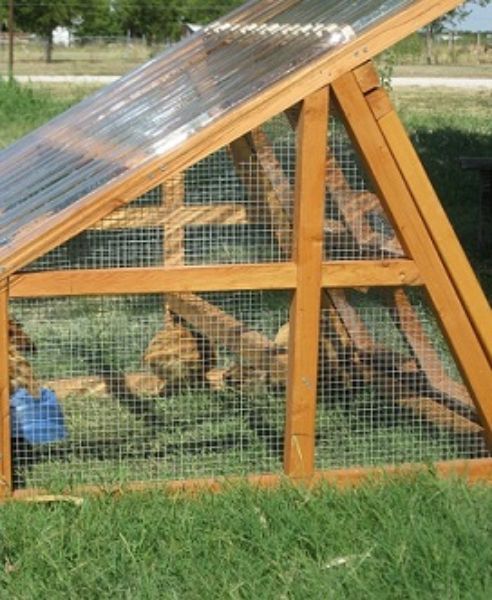 Duck Coop For Sale Portable And Protective Clazorg