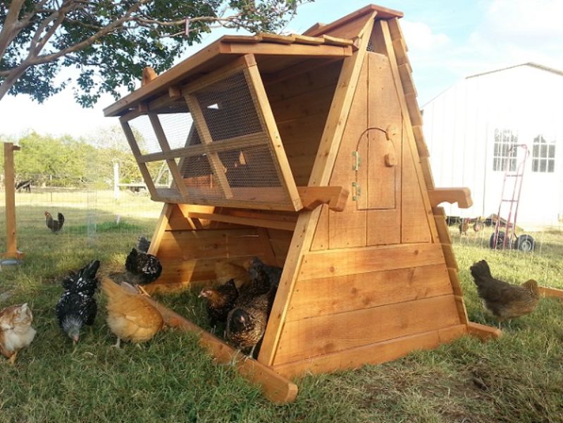 5 Ft Tall Portable Chicken Coop In Movable Chicken Yard Winter Sale