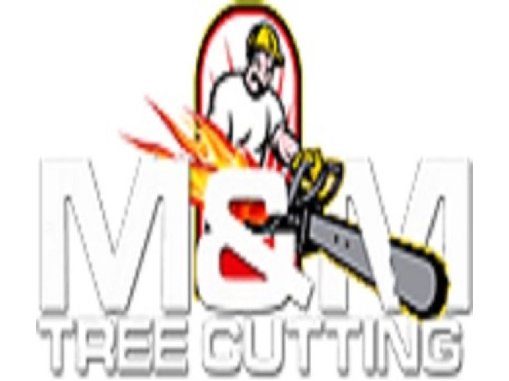 UNBEATABLE RATES Tree Service & Removal