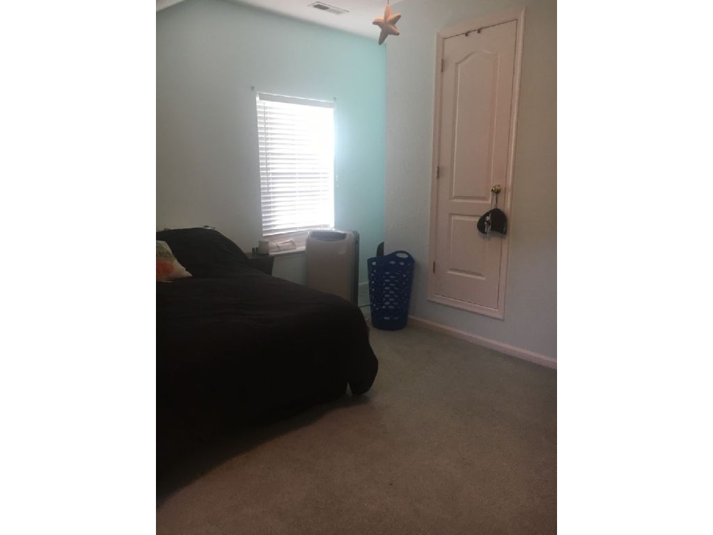 Large FROG for rent in nice home