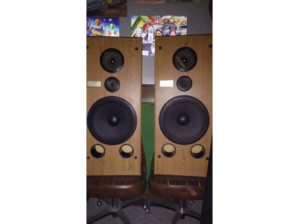 Pioneer house speakers