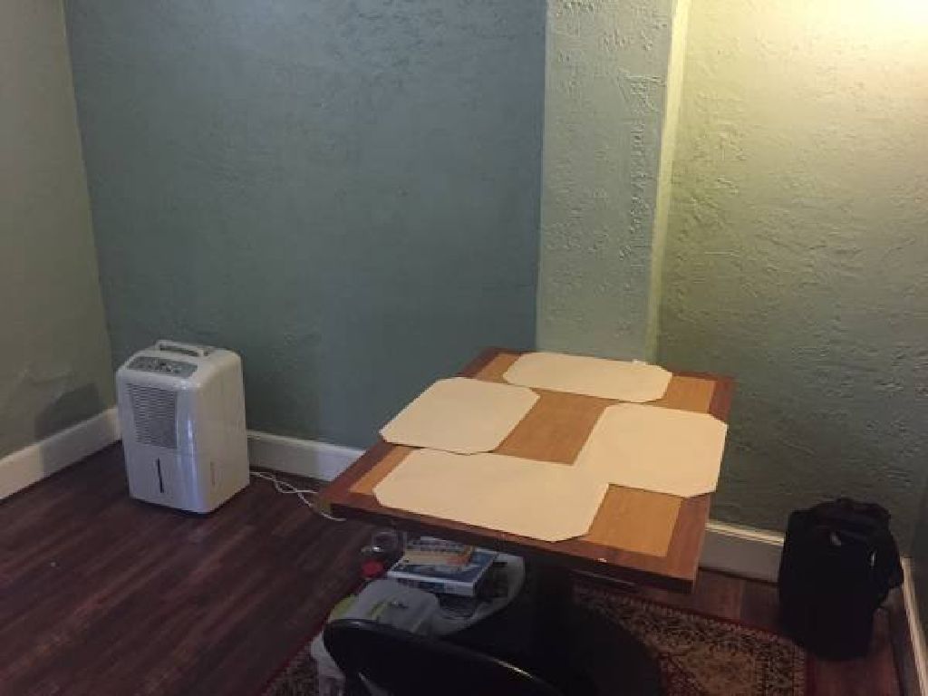 Are you a USC student taking summer classes and need a place to sublease? 1BR tiny summer apartment