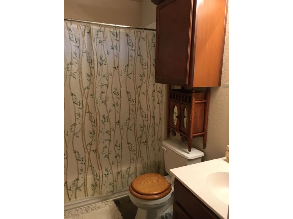 Room or Rooms to rent