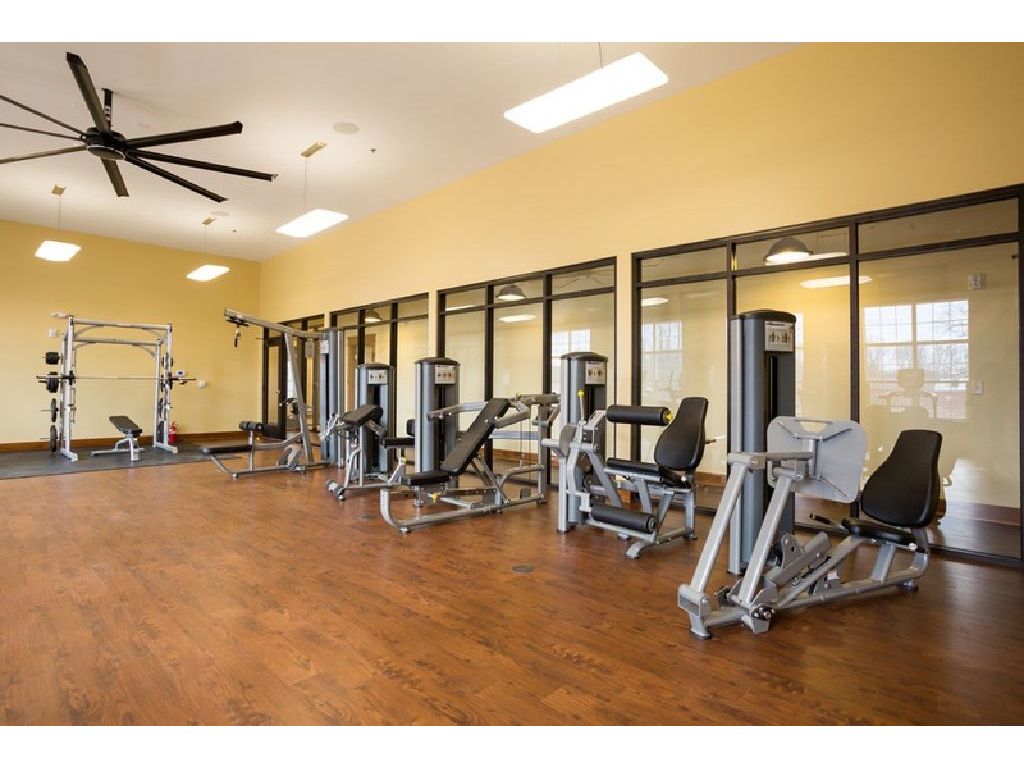 Looking for Female Sublease