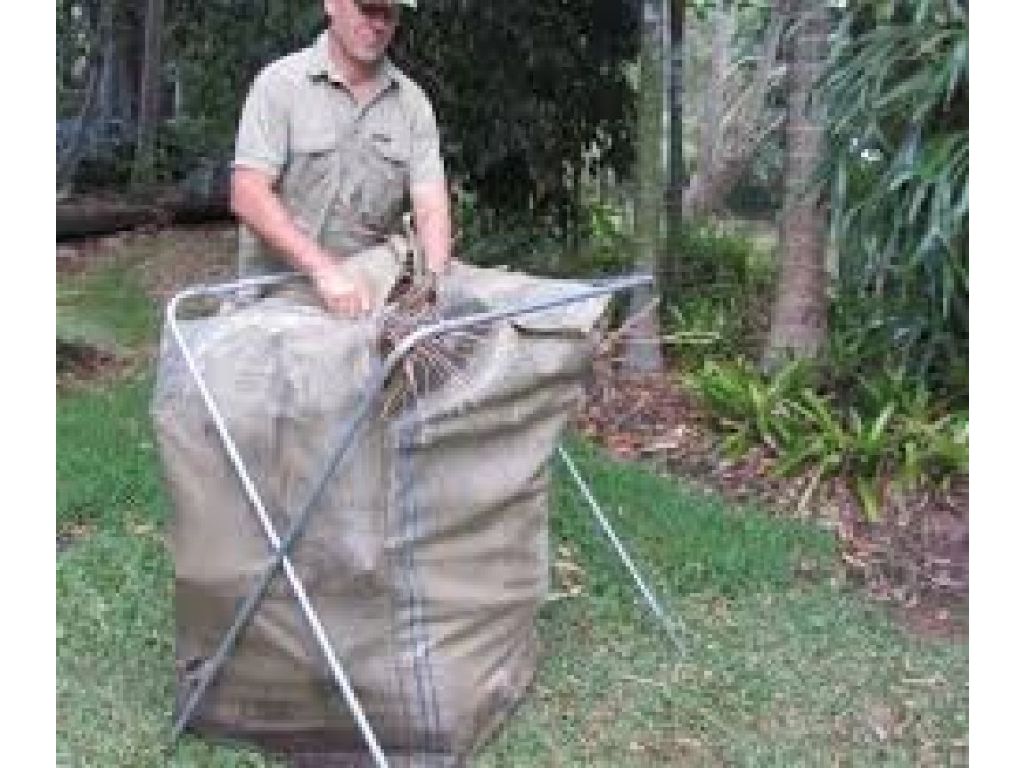 Placentia Removal Services