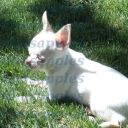 Lagunas At Gods Creation