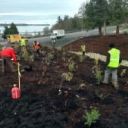 Newdungeness Nursery